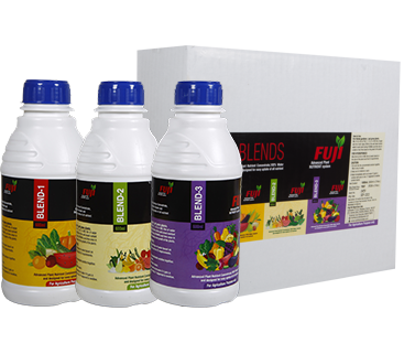 300 ml x 3